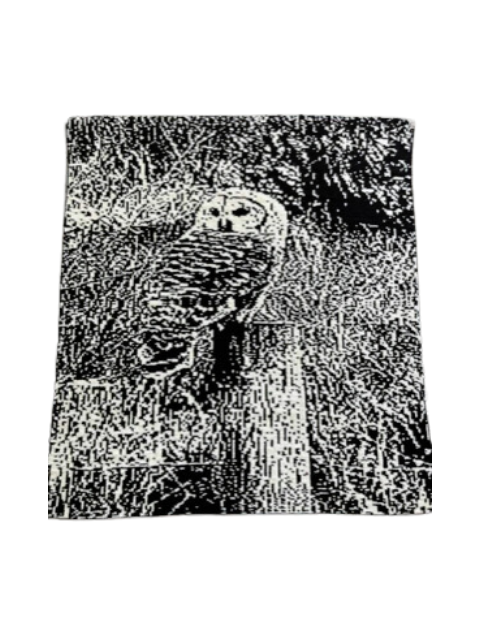 Kara's Owl Throw Black and white image of a barred owl perched on a fence post, surrounded by trees, grass, and barbed wire, front